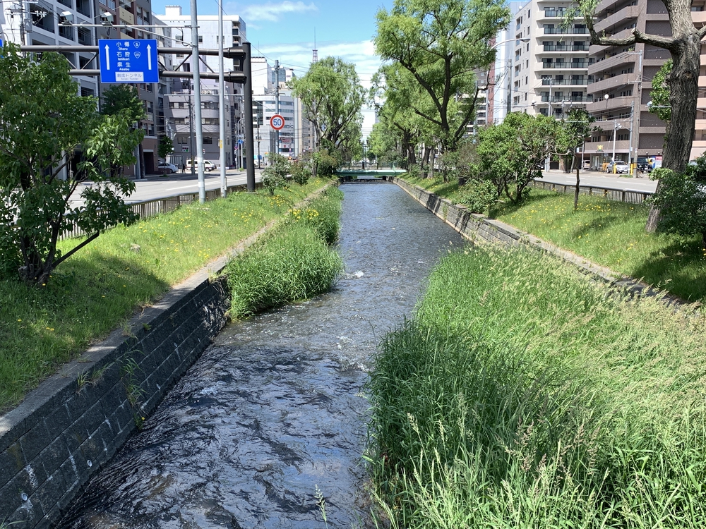 帰省ラン：札幌／豊平川〜創成川上流〜ビール園の写真14