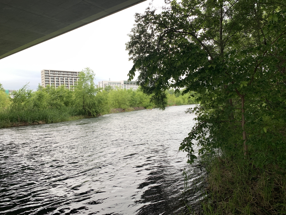 帰省ラン：旭川／神楽岡公園〜忠別川〜美瑛川〜石狩川〜駅前の写真7