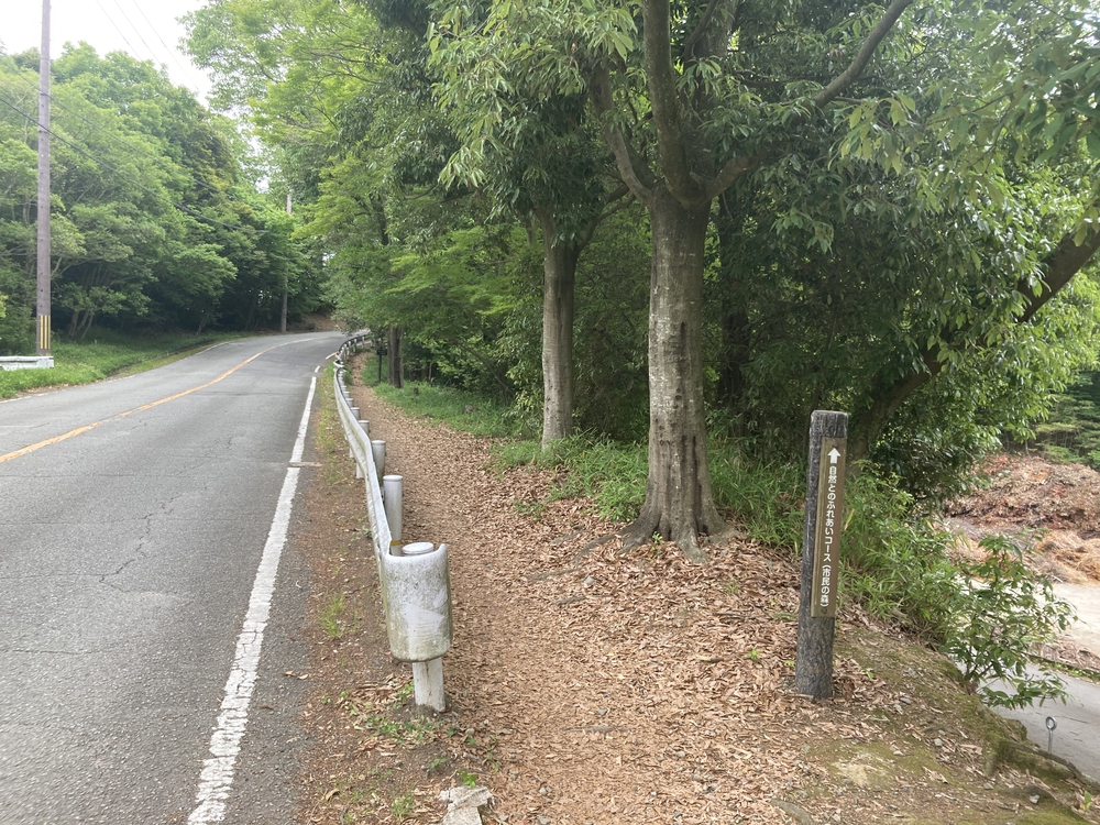 池田五月山～箕面ようらく台園地トレイルランニングの写真5