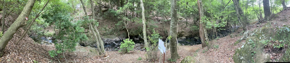 池田五月山～箕面ようらく台園地トレイルランニングの写真7