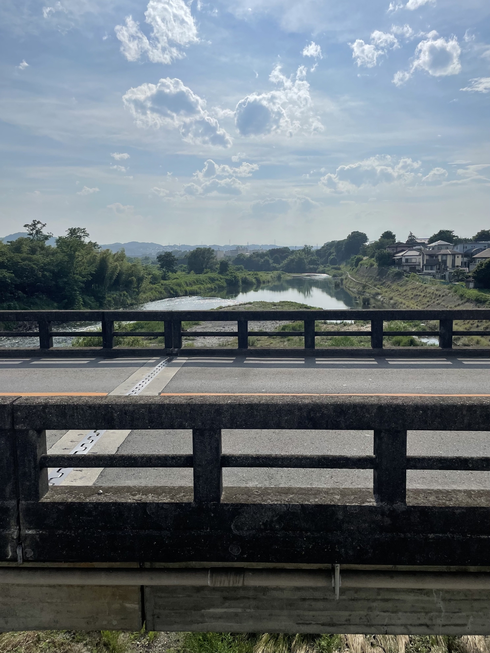 歌川広重と共にRUN 倉賀野の写真5