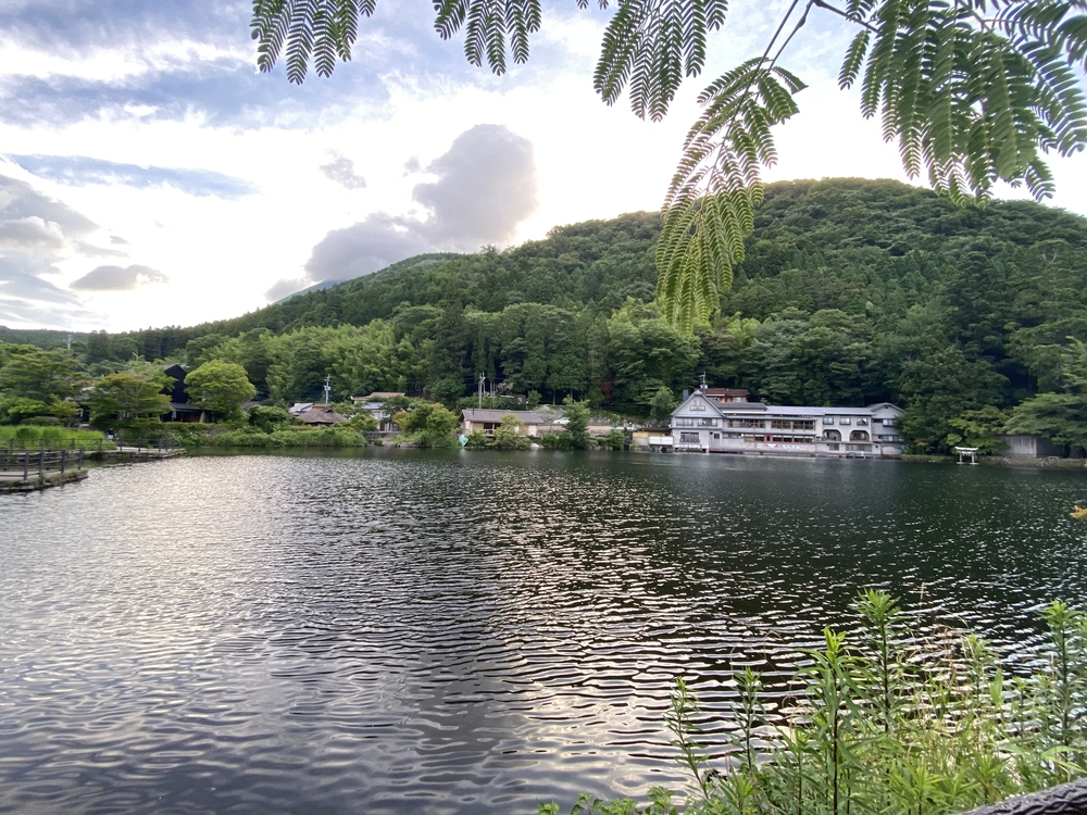 由布院の見どころをくるっと一周の写真3