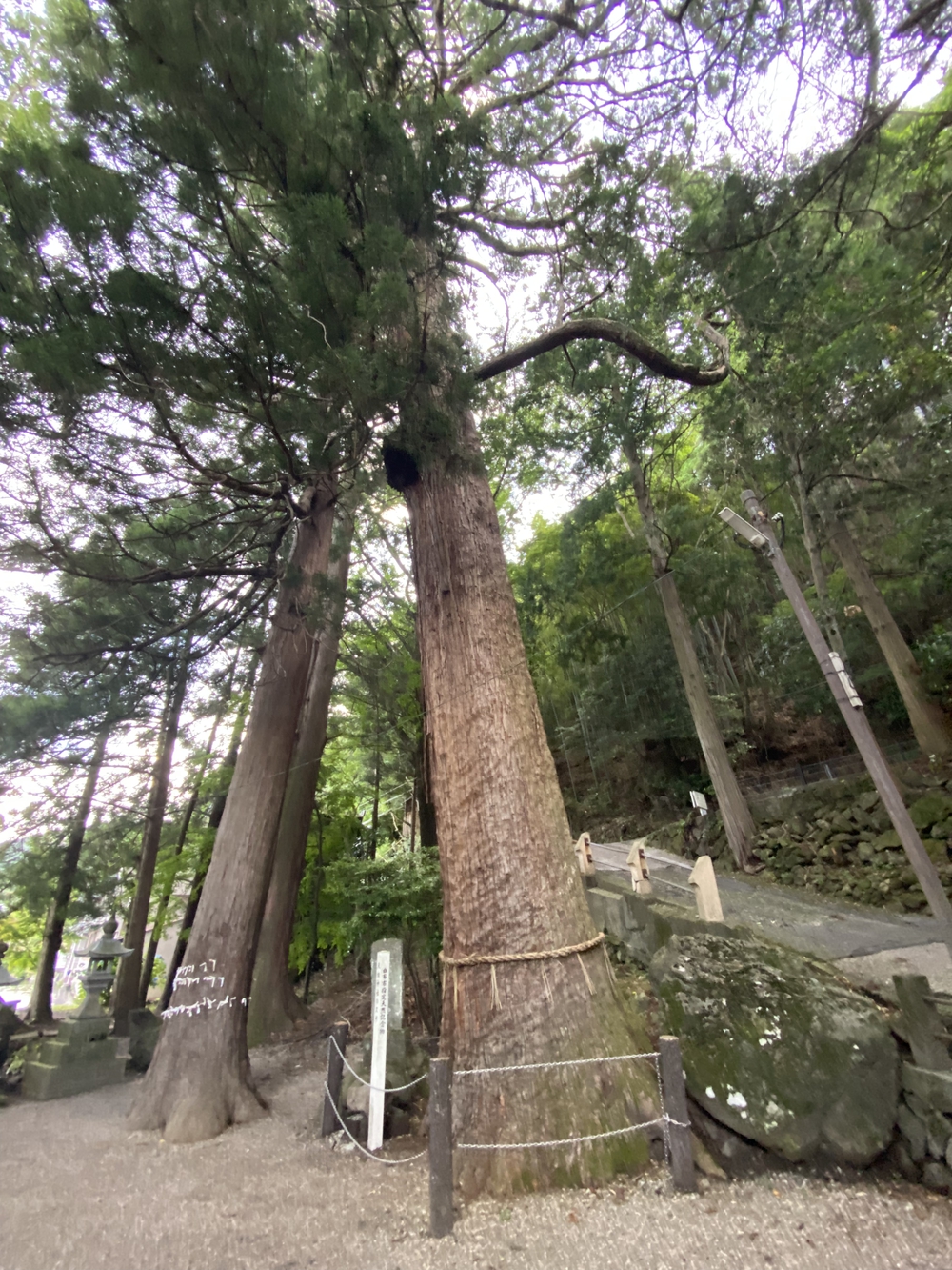 由布院の見どころをくるっと一周の写真6