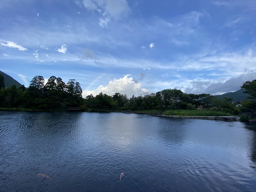 由布院の見どころをくるっと一周の写真8