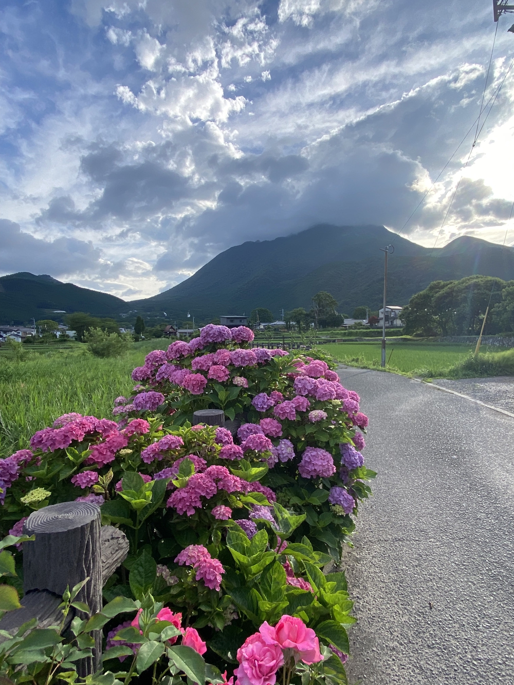 由布院の見どころをくるっと一周の写真28