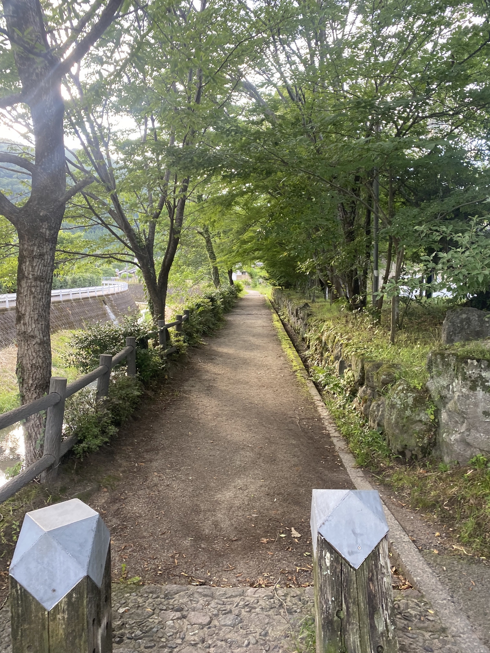 由布院の見どころをくるっと一周の写真29