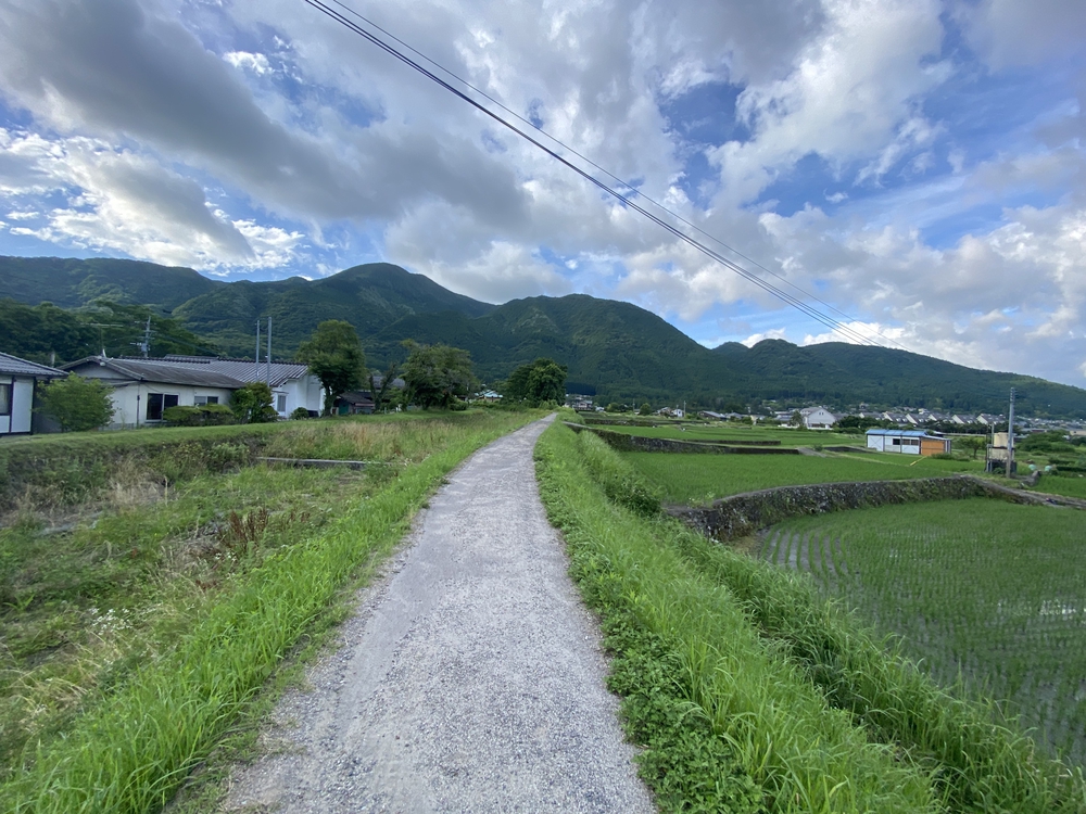 由布院の見どころをくるっと一周の写真32