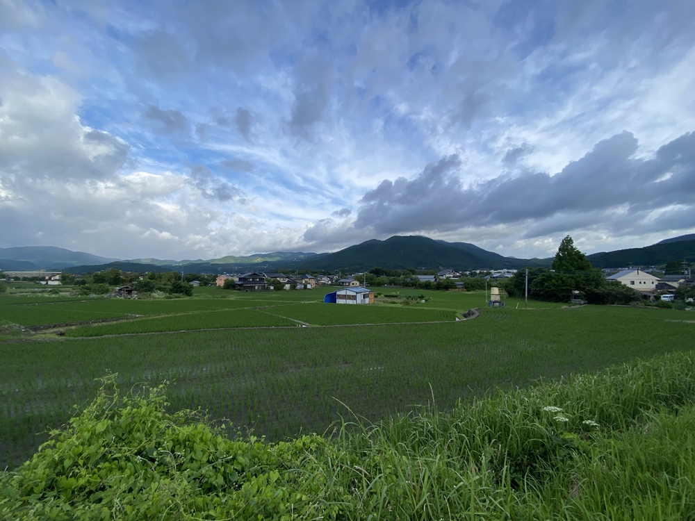 由布院の見どころをくるっと一周の写真33