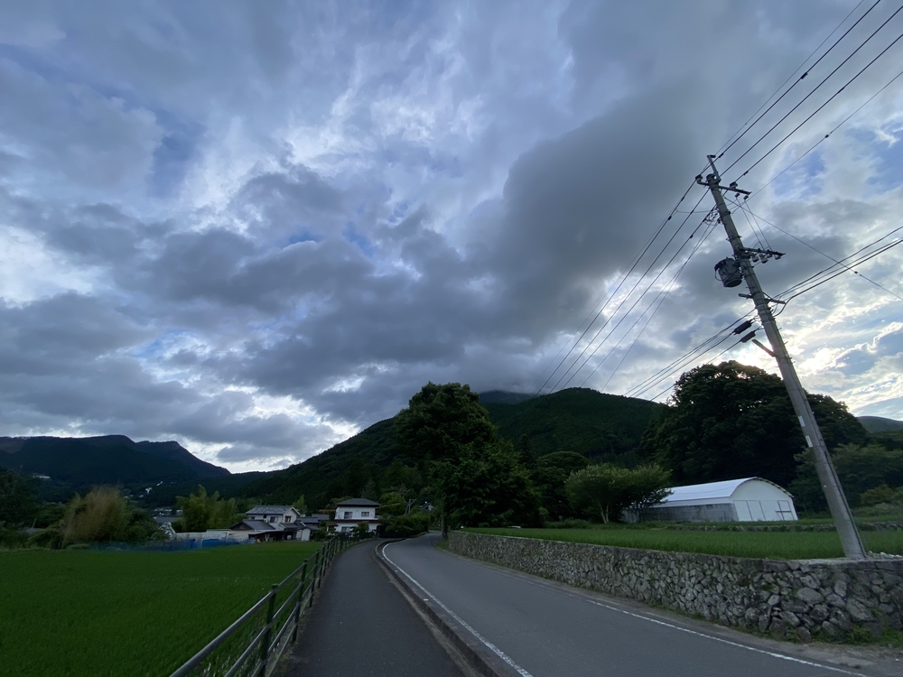 由布院の見どころをくるっと一周の写真34