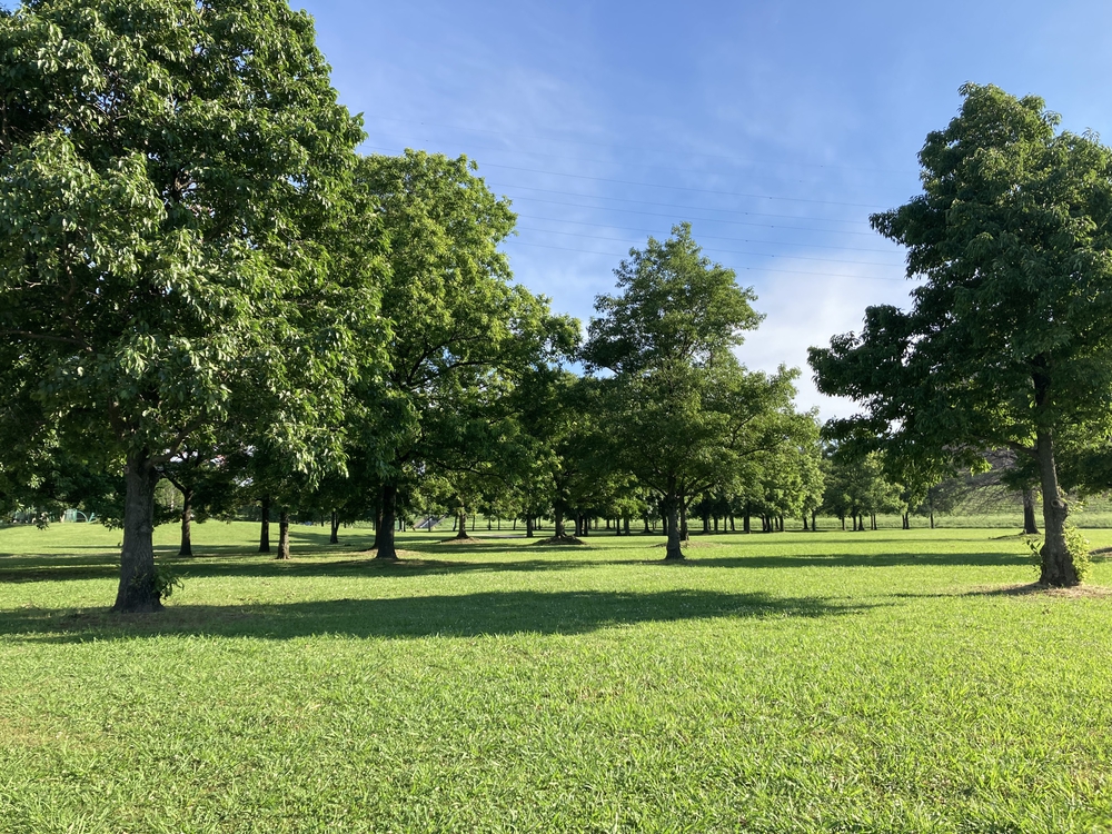深緑と野鳥の声に癒される彩湖遊週コースの写真4