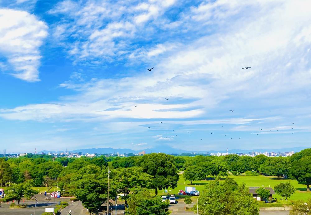 深緑と野鳥の声に癒される彩湖遊週コースの写真7