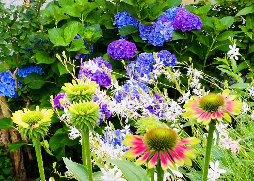 深緑と野鳥の声に癒される彩湖遊週コースの写真9