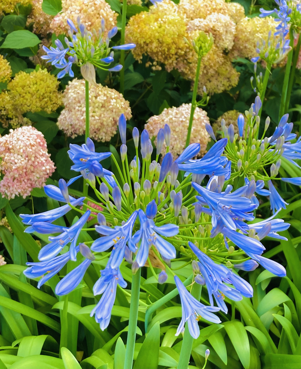 深緑と野鳥の声に癒される彩湖遊週コースの写真10