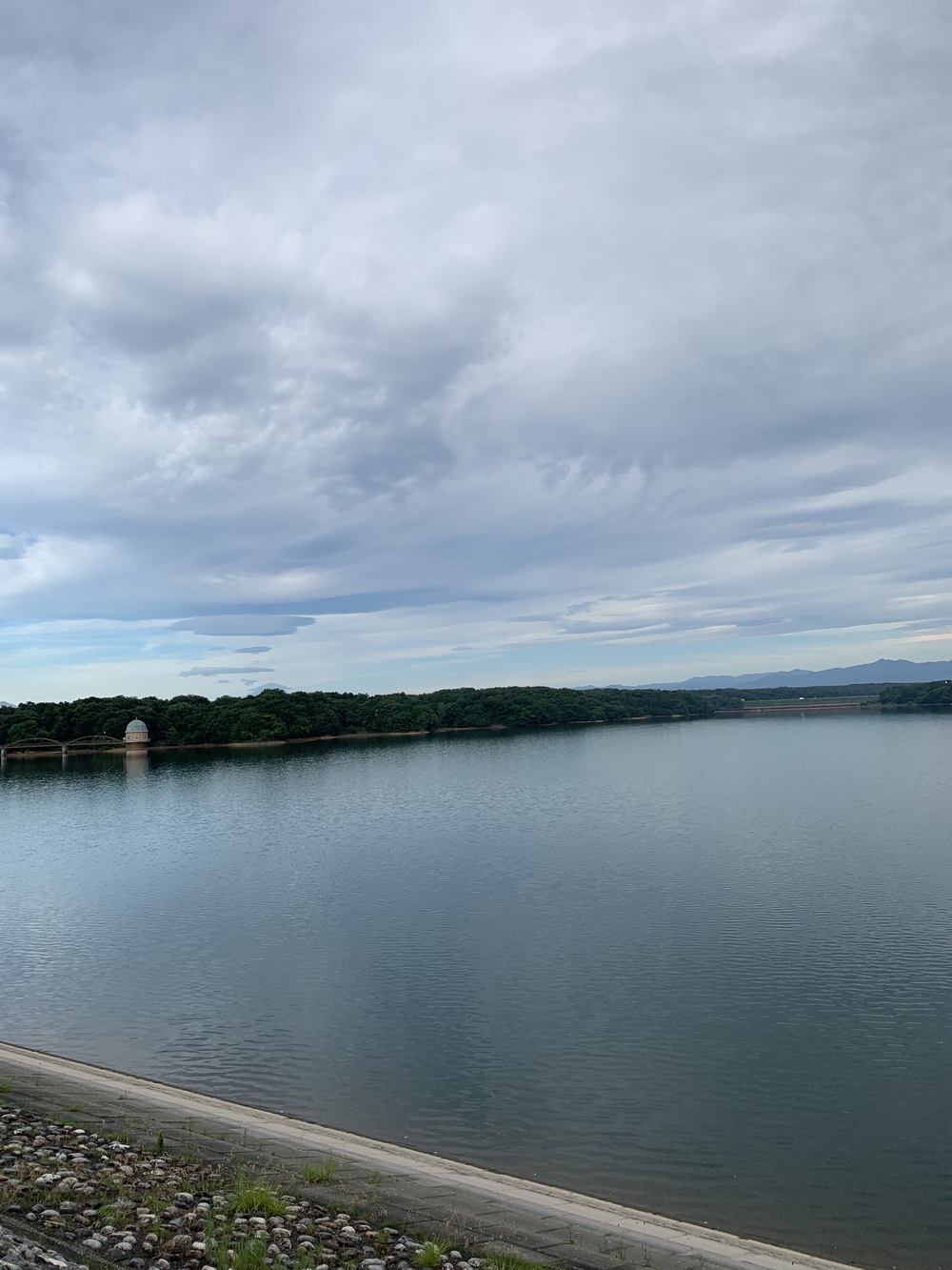 【トレイル】多摩湖狭山湖周回の写真3