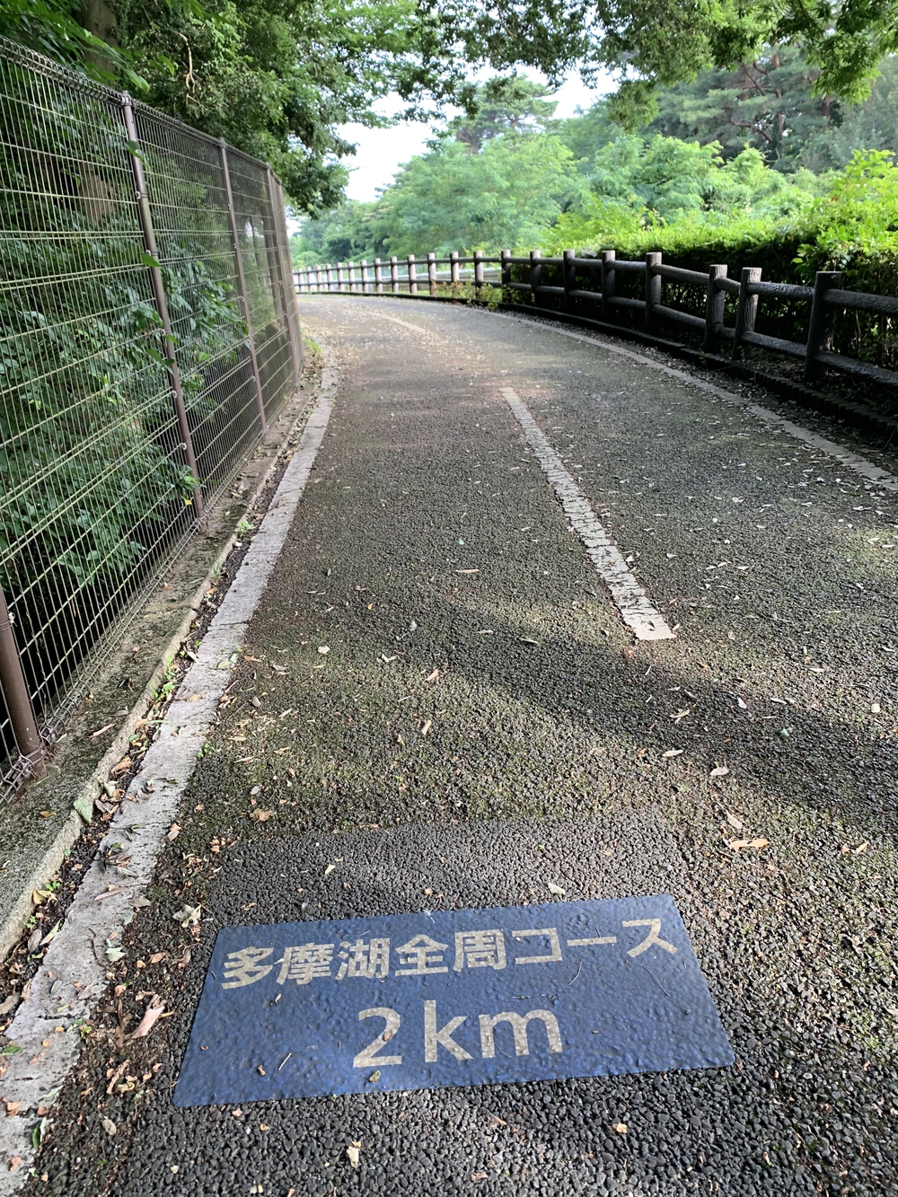 【トレイル】多摩湖狭山湖周回の写真4