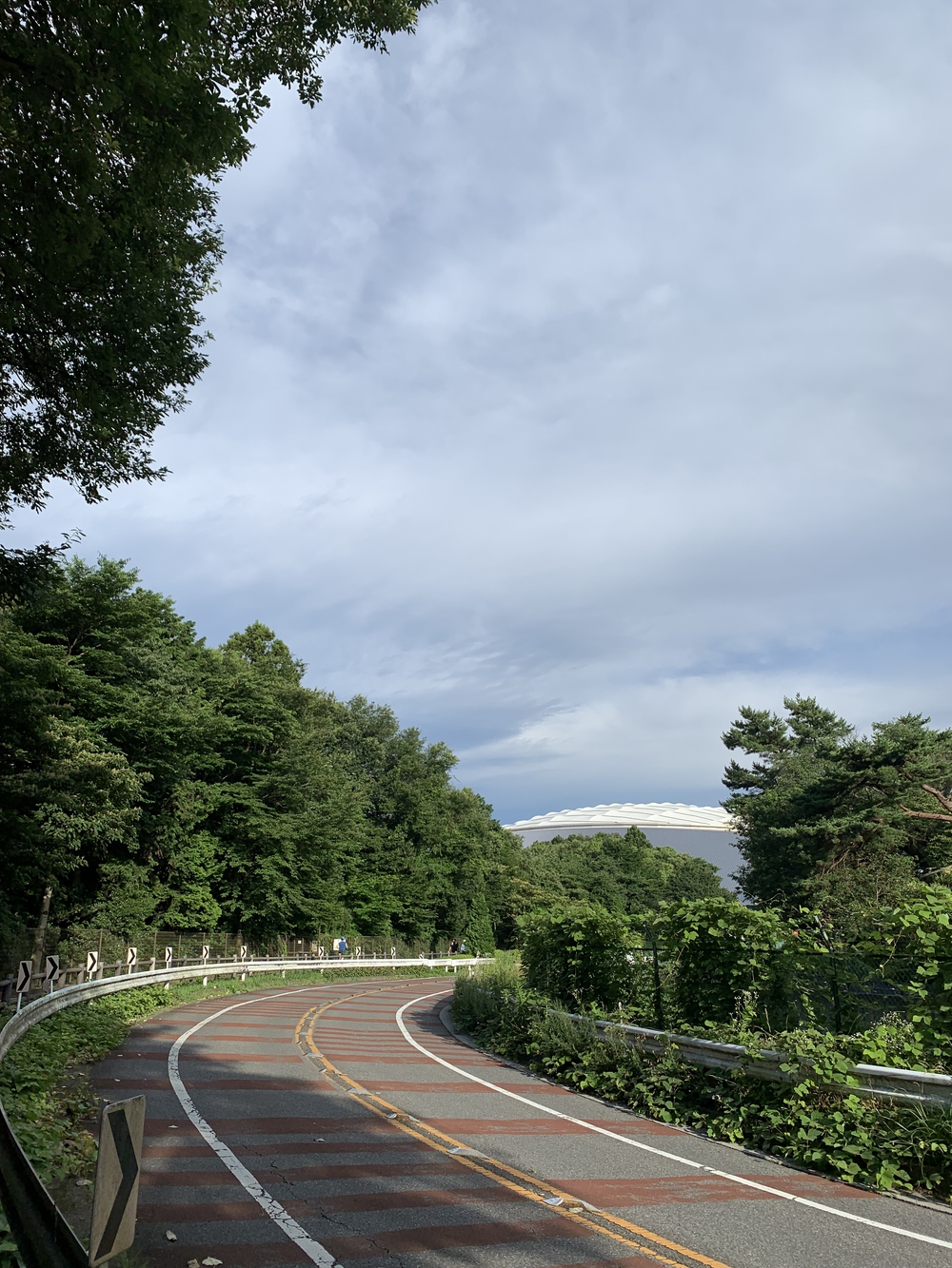 【トレイル】多摩湖狭山湖周回の写真5