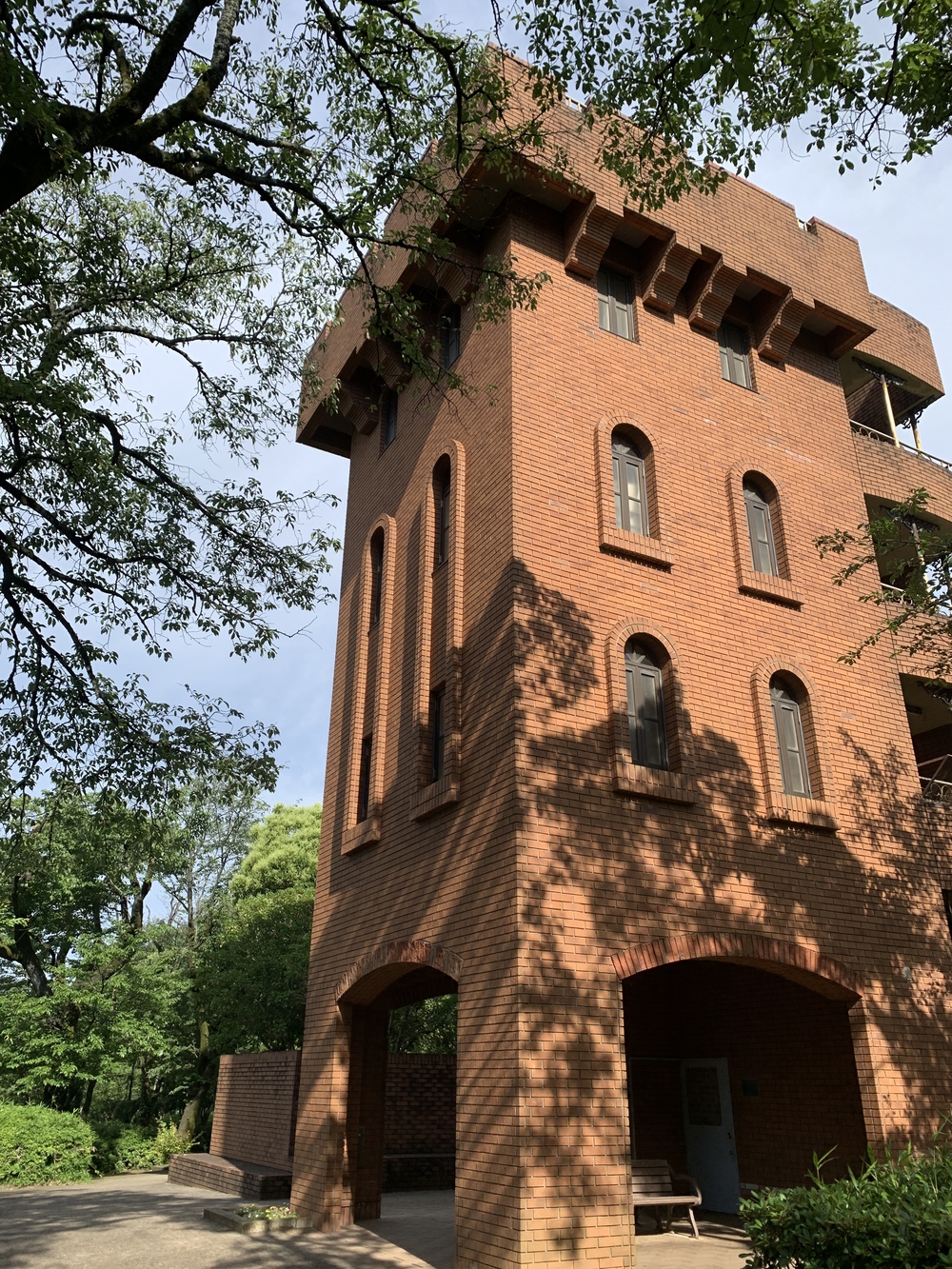 【トレイル】多摩湖狭山湖周回の写真12