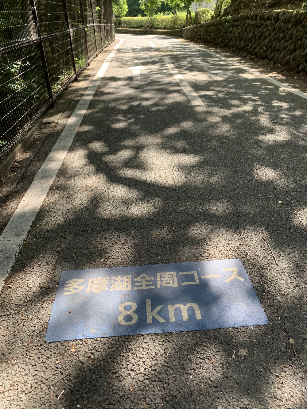 【トレイル】多摩湖狭山湖周回の写真14