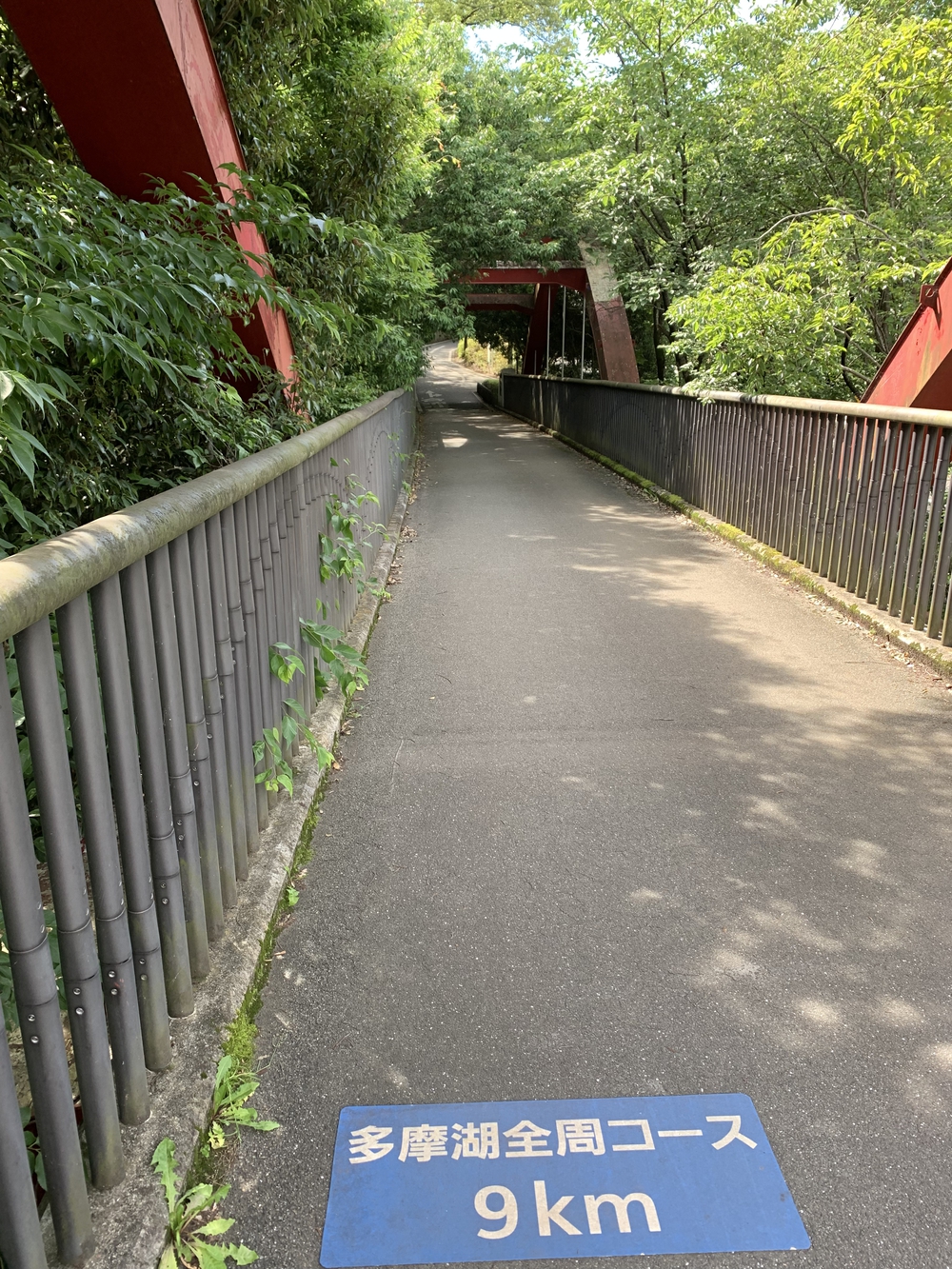 【トレイル】多摩湖狭山湖周回の写真15