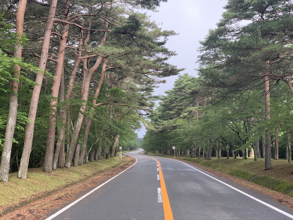ふじあざみラインで富士山須走口五合目までの写真4