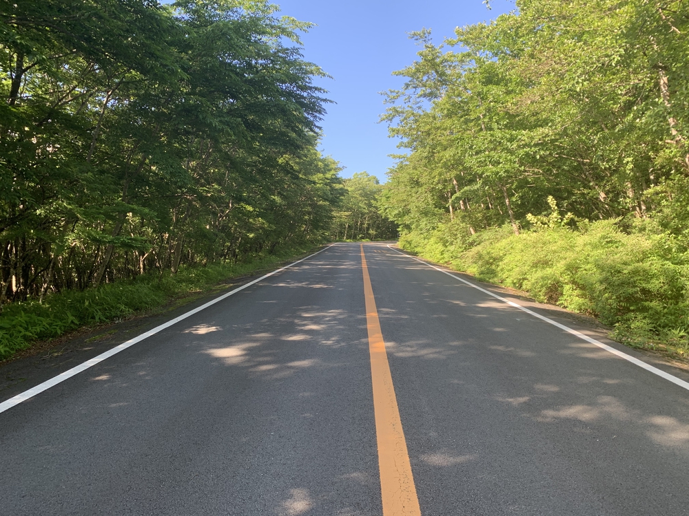 ふじあざみラインで富士山須走口五合目までの写真6