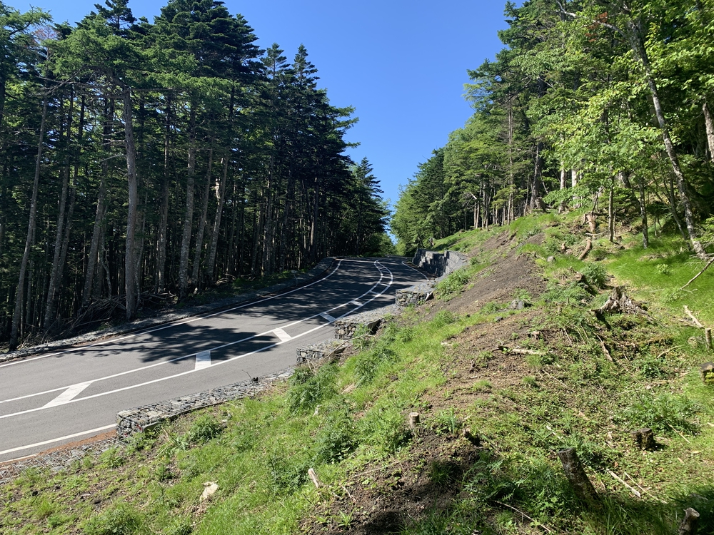 ふじあざみラインで富士山須走口五合目までの写真12