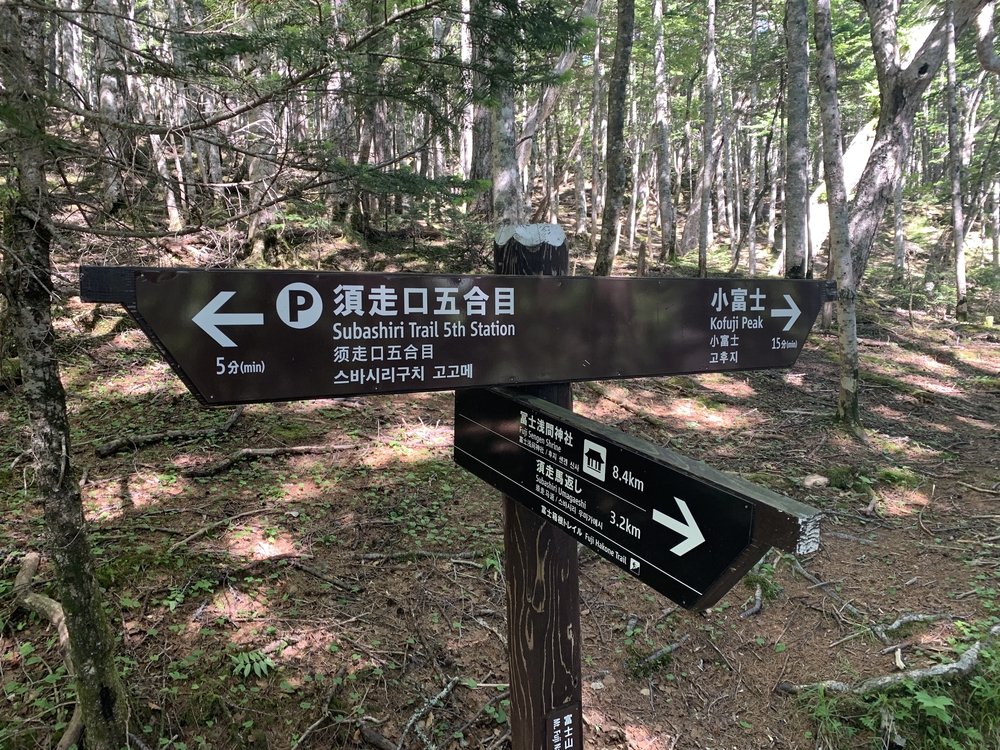 ふじあざみラインで富士山須走口五合目までの写真13