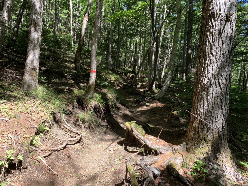 ここは日本？富士山に乗り捨てられたワゴニアの写真5