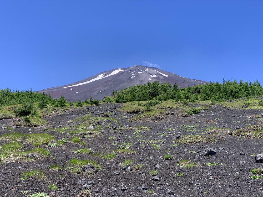 富士山⁇譲ります ここは日本？富士山に乗り捨てられたワゴニア | ラントリップ
