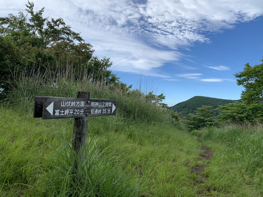 絶景富士山　高指山～明神山～パノラマ台の写真6