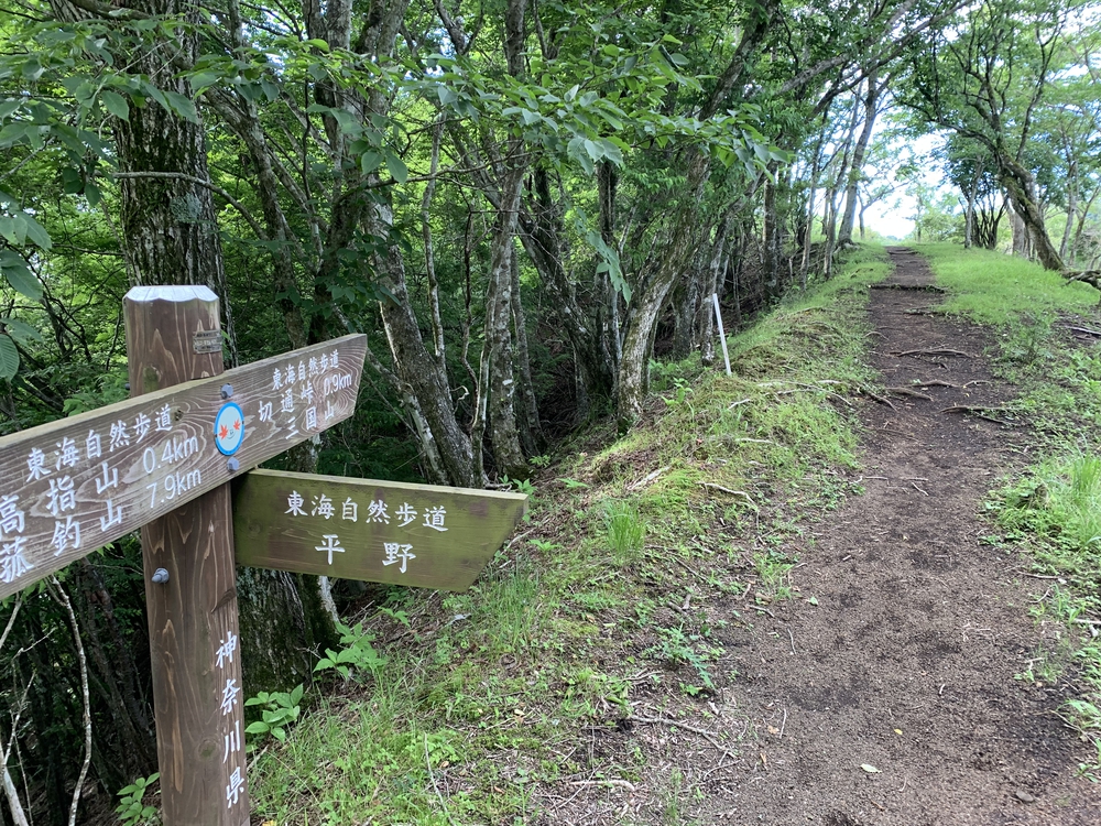 絶景富士山　高指山～明神山～パノラマ台の写真7