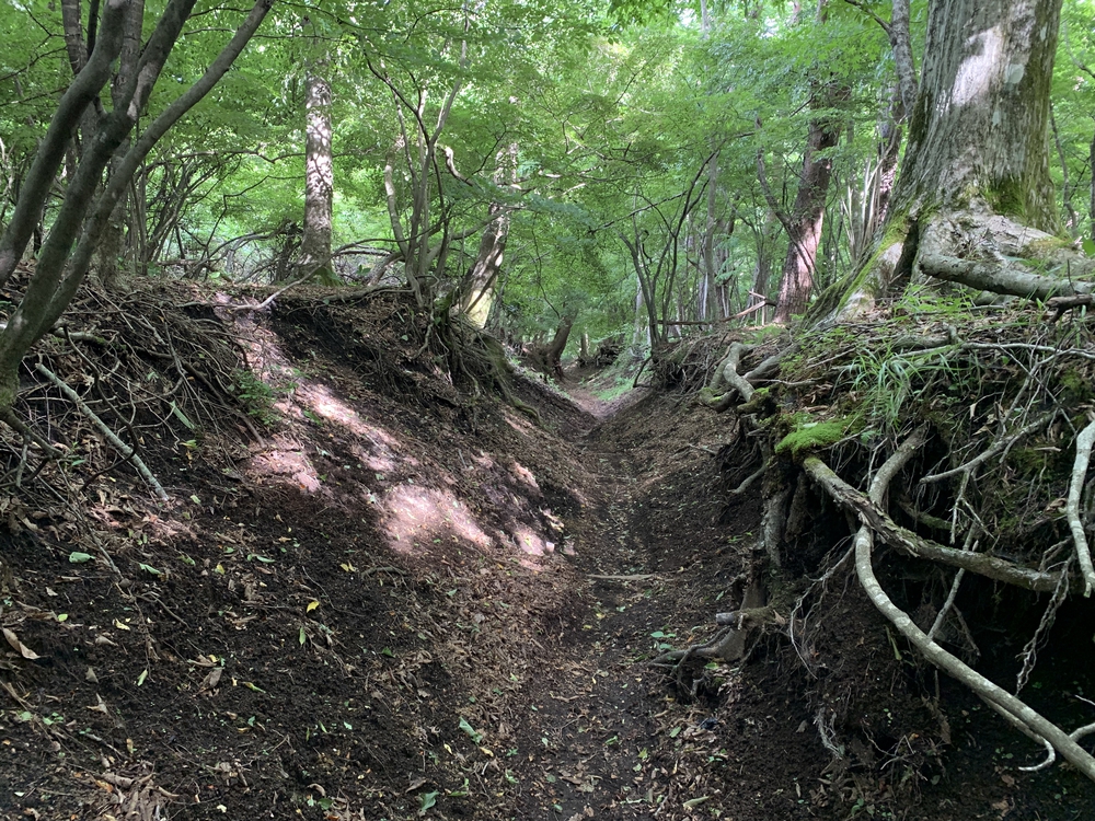 絶景富士山　高指山～明神山～パノラマ台の写真13