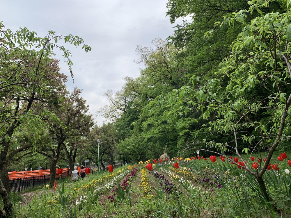 住宅街の中にある森！の写真4