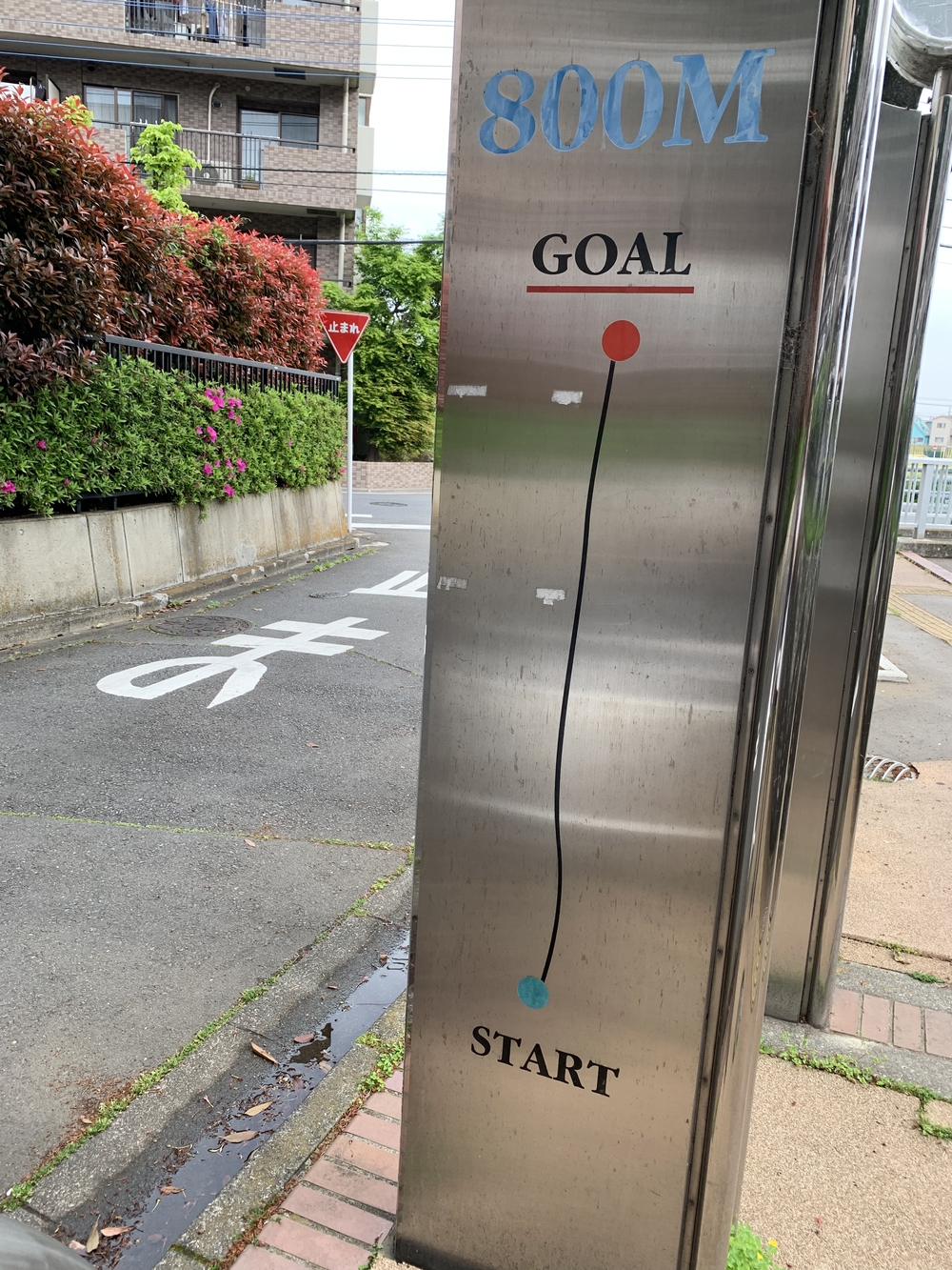 住宅街の中にある森！の写真6