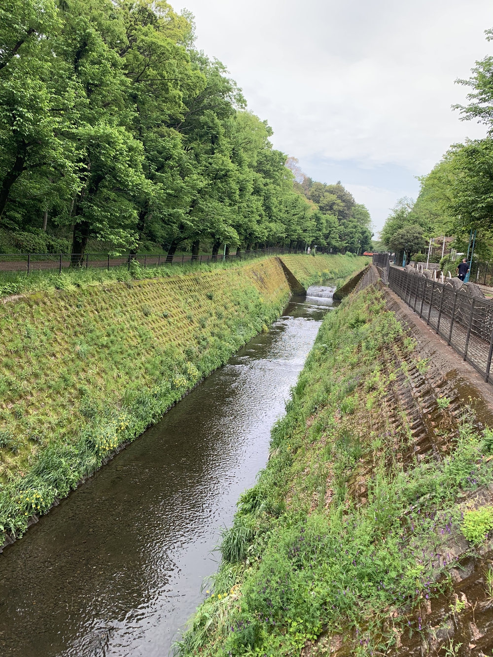 住宅街の中にある森！の写真8