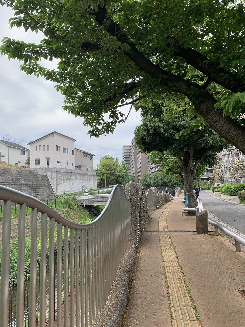 住宅街の中にある森！の写真9