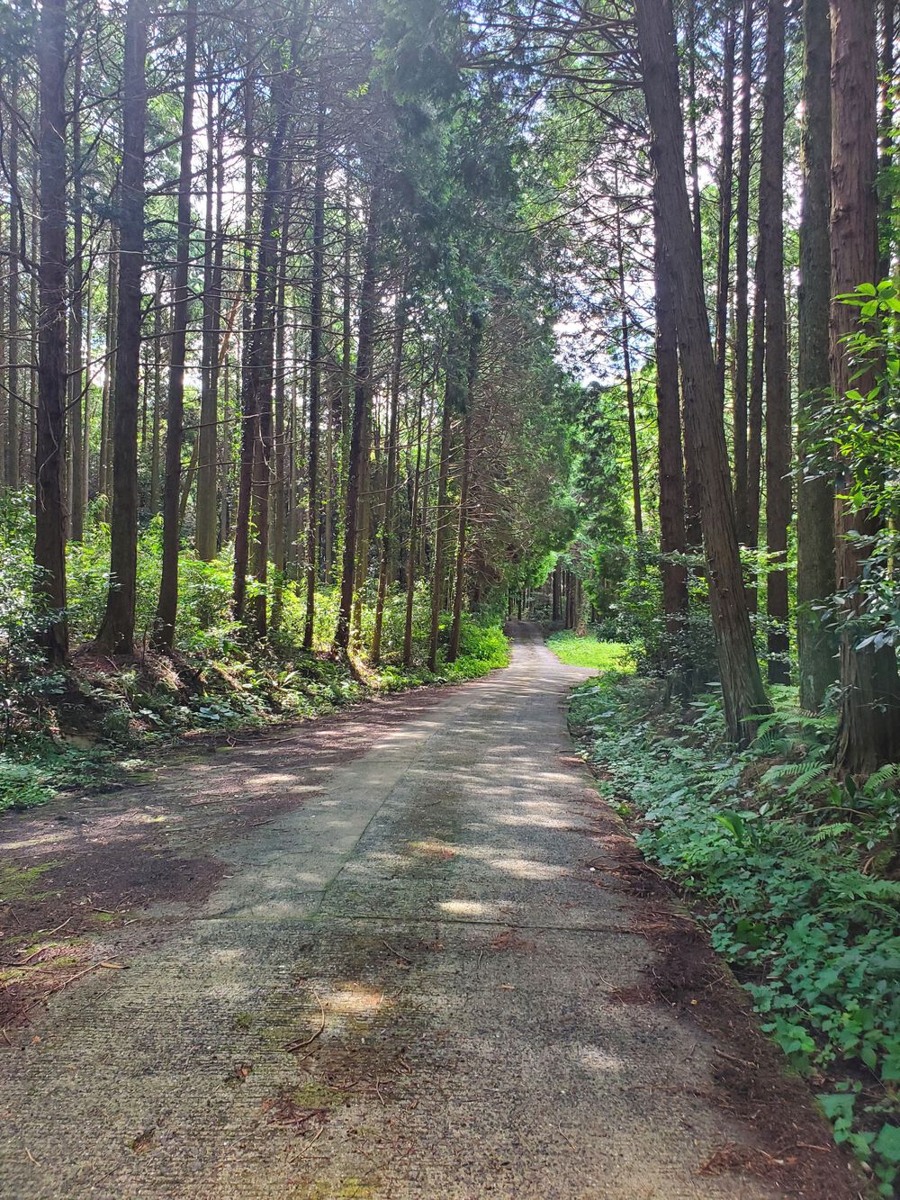佐賀県伊万里市山代町浦ノ崎　浦ノ崎駅→川内野(日南郷)の写真5