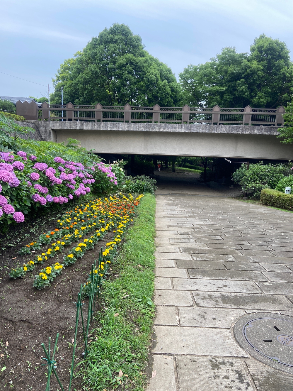 都筑緑道は都市型クロカンフォレストコース🍃❗️の写真5