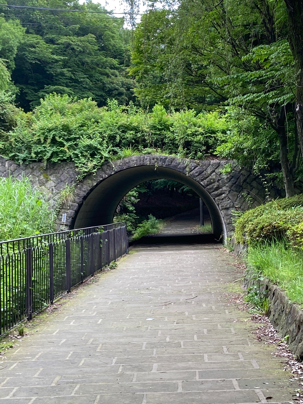 都筑緑道は都市型クロカンフォレストコース🍃❗️の写真8