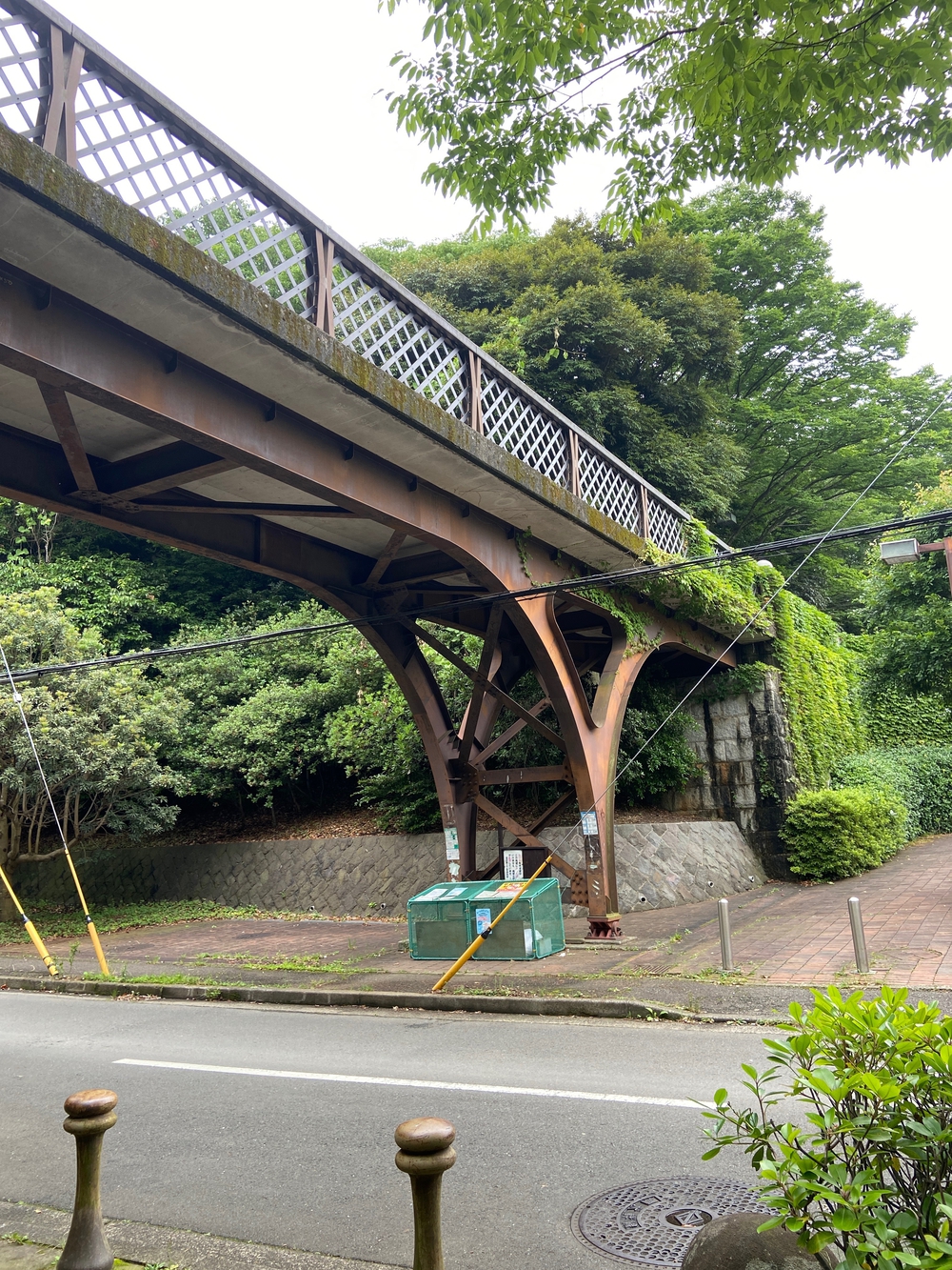 都筑緑道は都市型クロカンフォレストコース🍃❗️の写真9