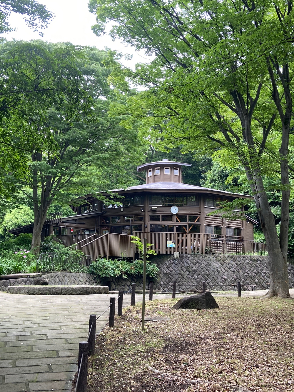 都筑緑道は都市型クロカンフォレストコース🍃❗️の写真11