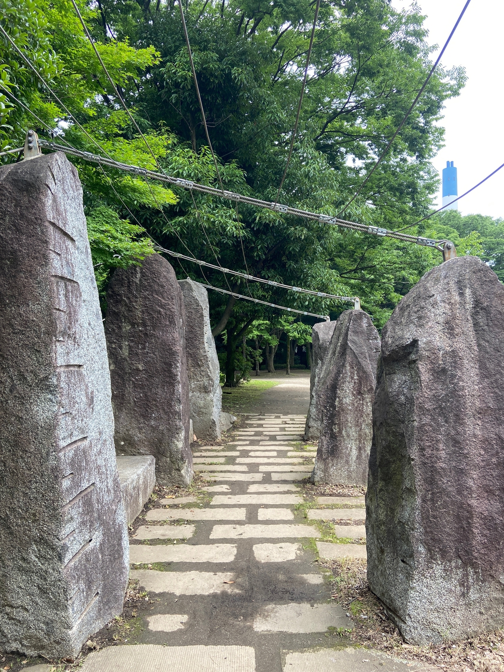 都筑緑道は都市型クロカンフォレストコース🍃❗️の写真14