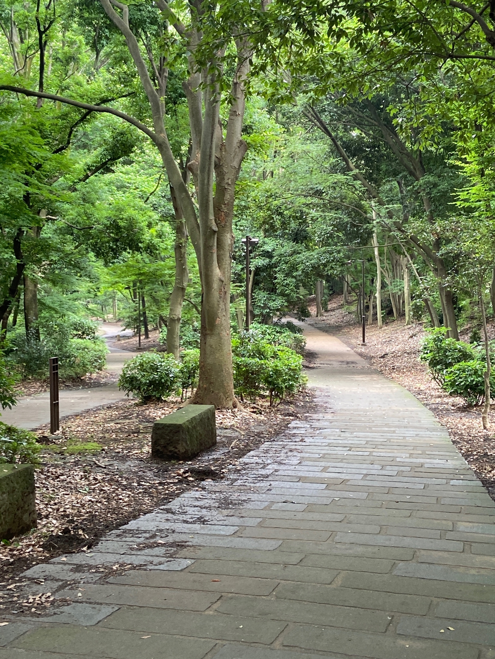 都筑緑道は都市型クロカンフォレストコース🍃❗️の写真15