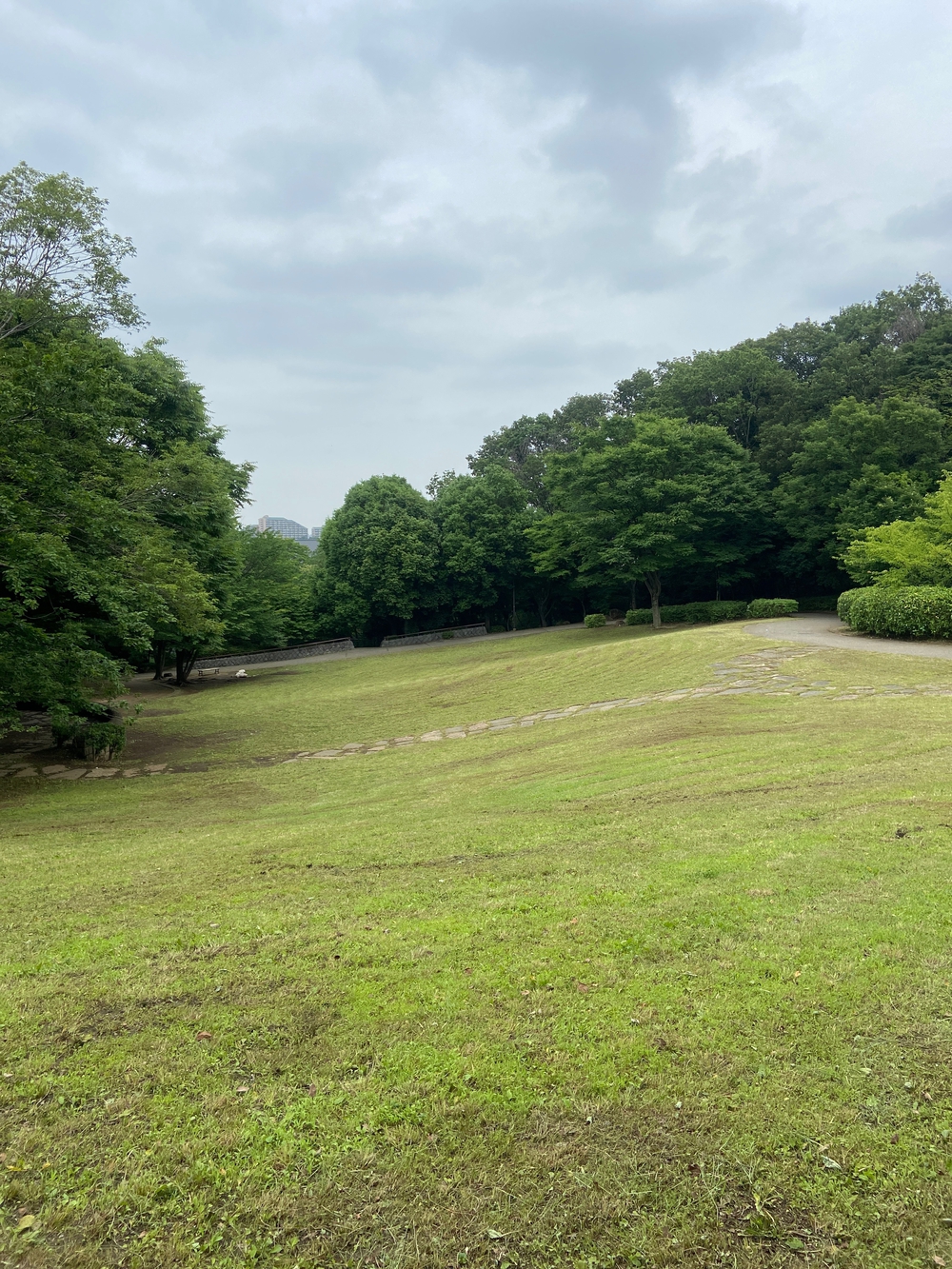 都筑緑道は都市型クロカンフォレストコース🍃❗️の写真17