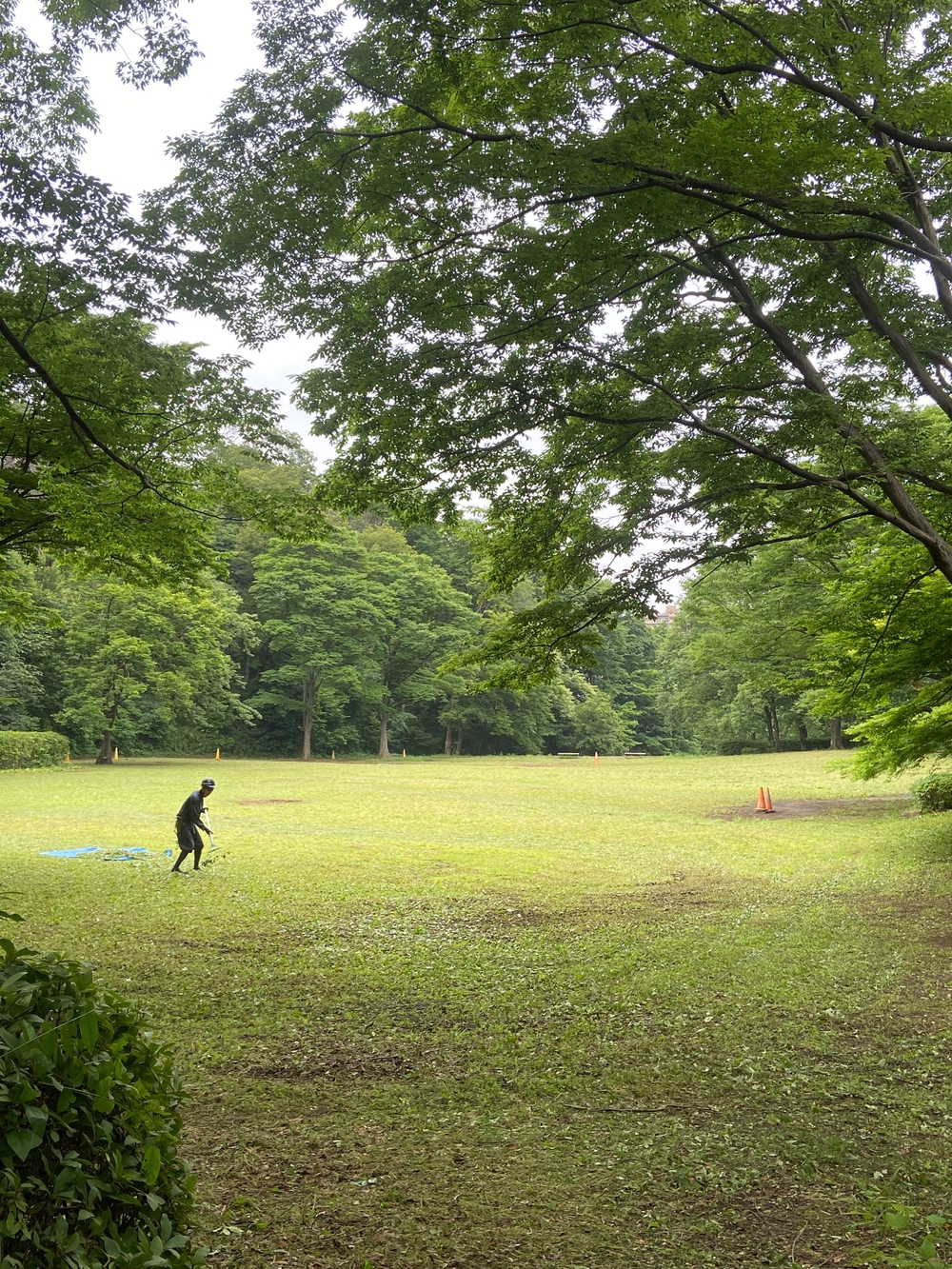 都筑緑道は都市型クロカンフォレストコース🍃❗️の写真19