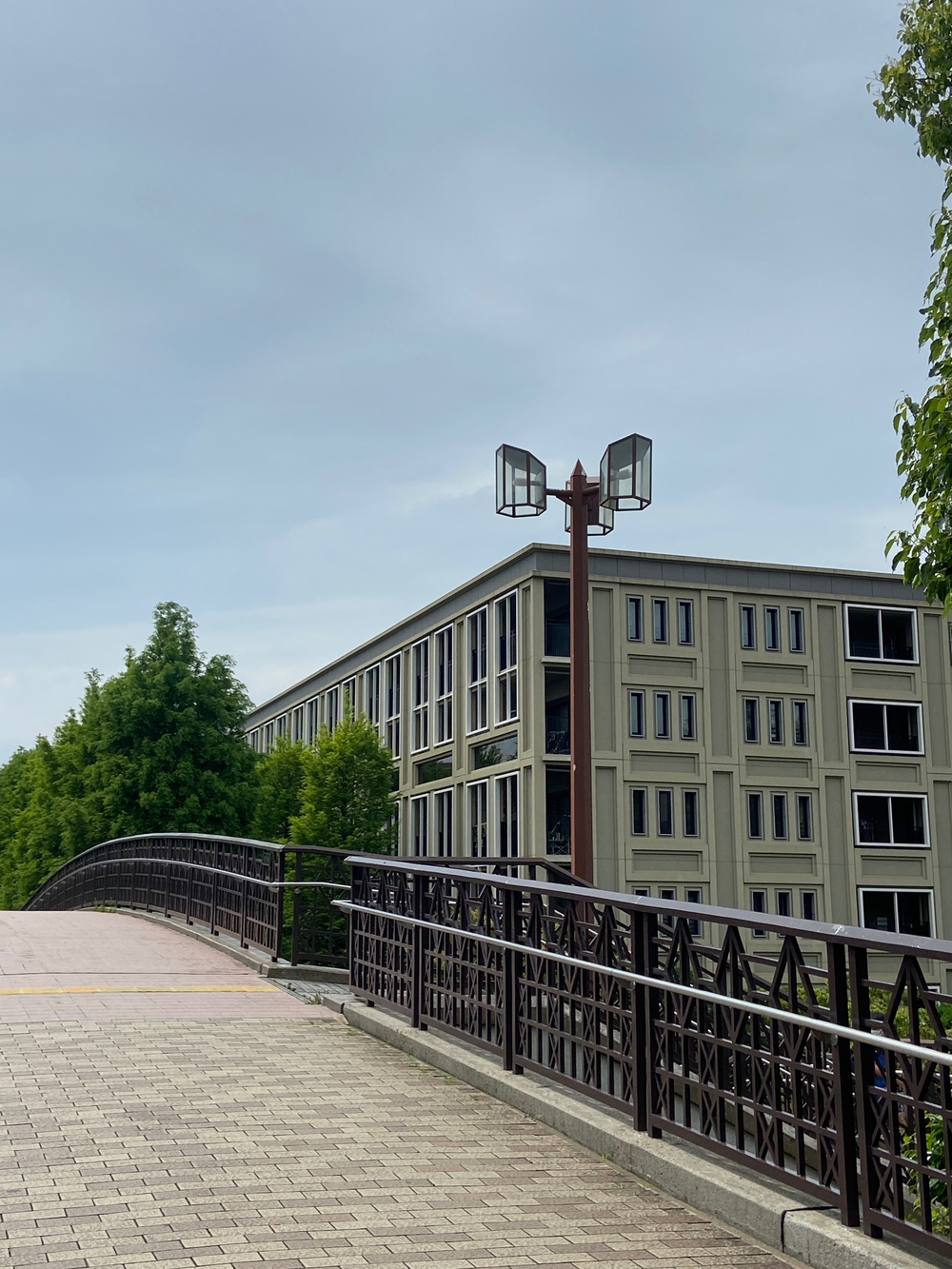 都筑緑道は都市型クロカンフォレストコース🍃❗️の写真20