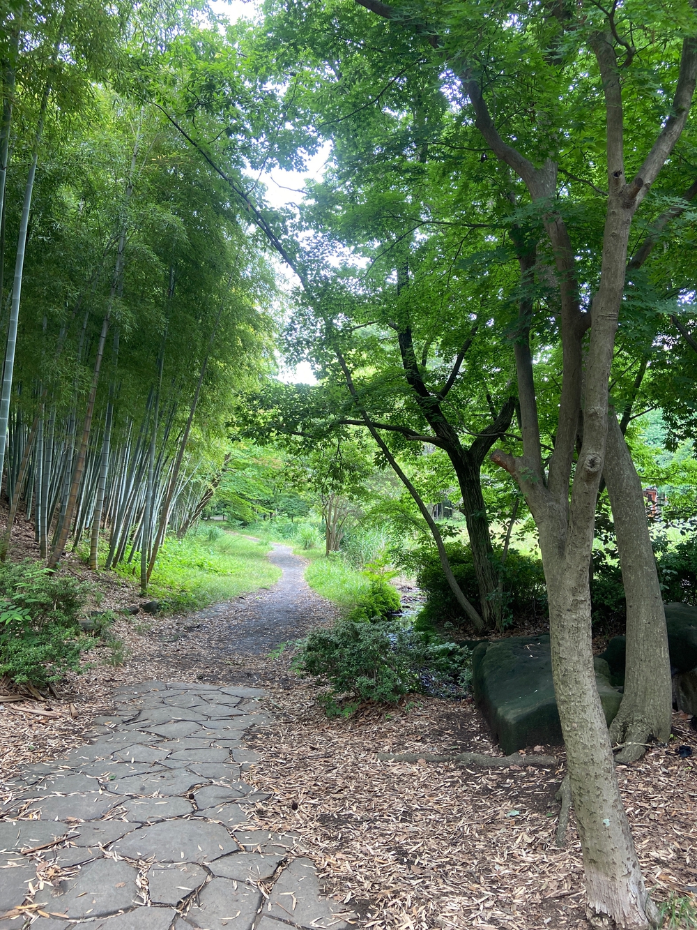 都筑緑道は都市型クロカンフォレストコース🍃❗️の写真22