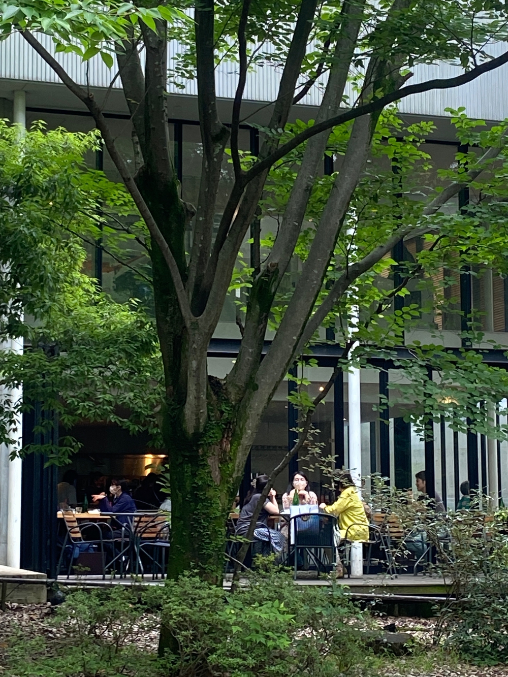 都筑緑道は都市型クロカンフォレストコース🍃❗️の写真23