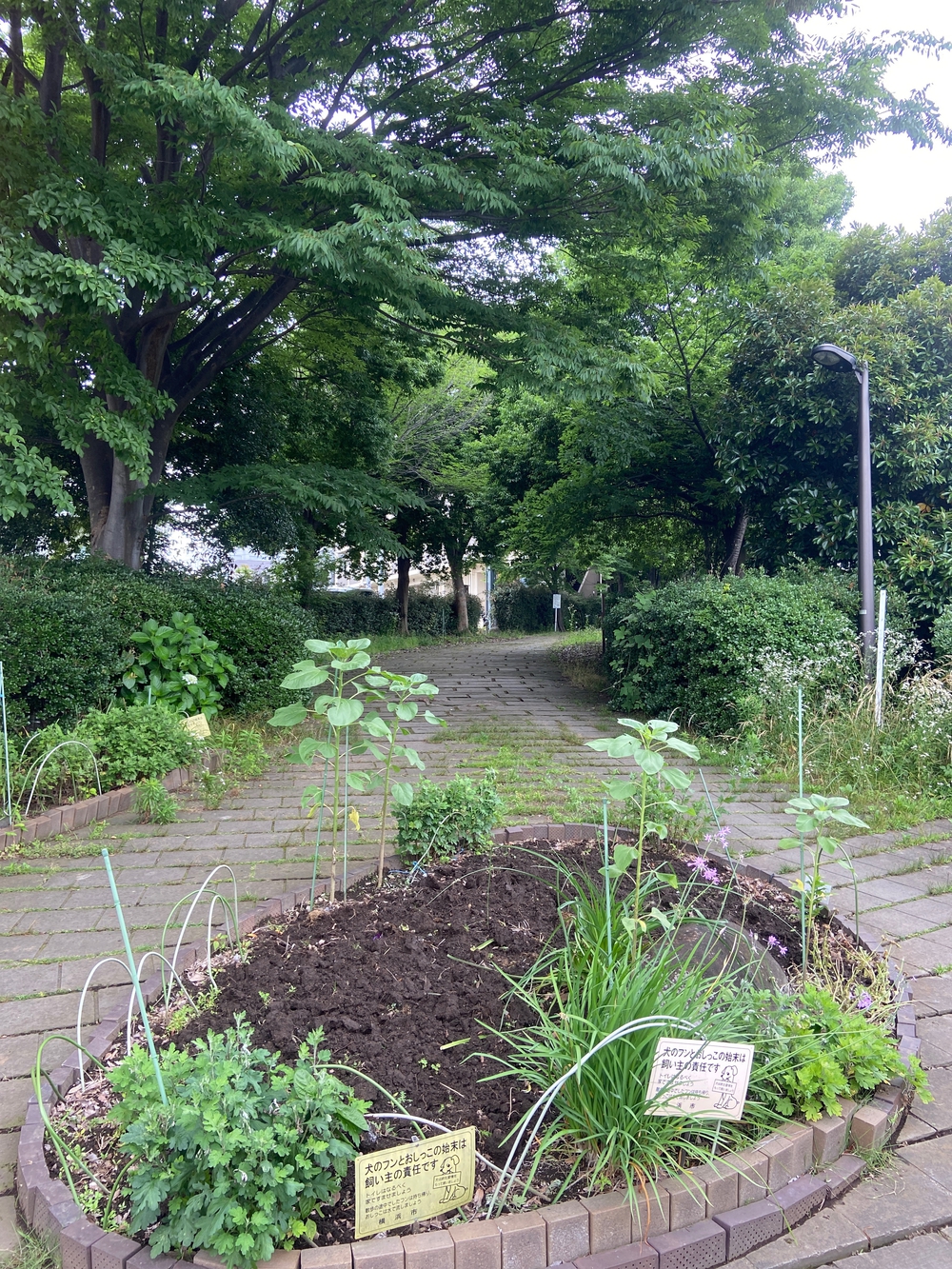 都筑緑道は都市型クロカンフォレストコース🍃❗️の写真29