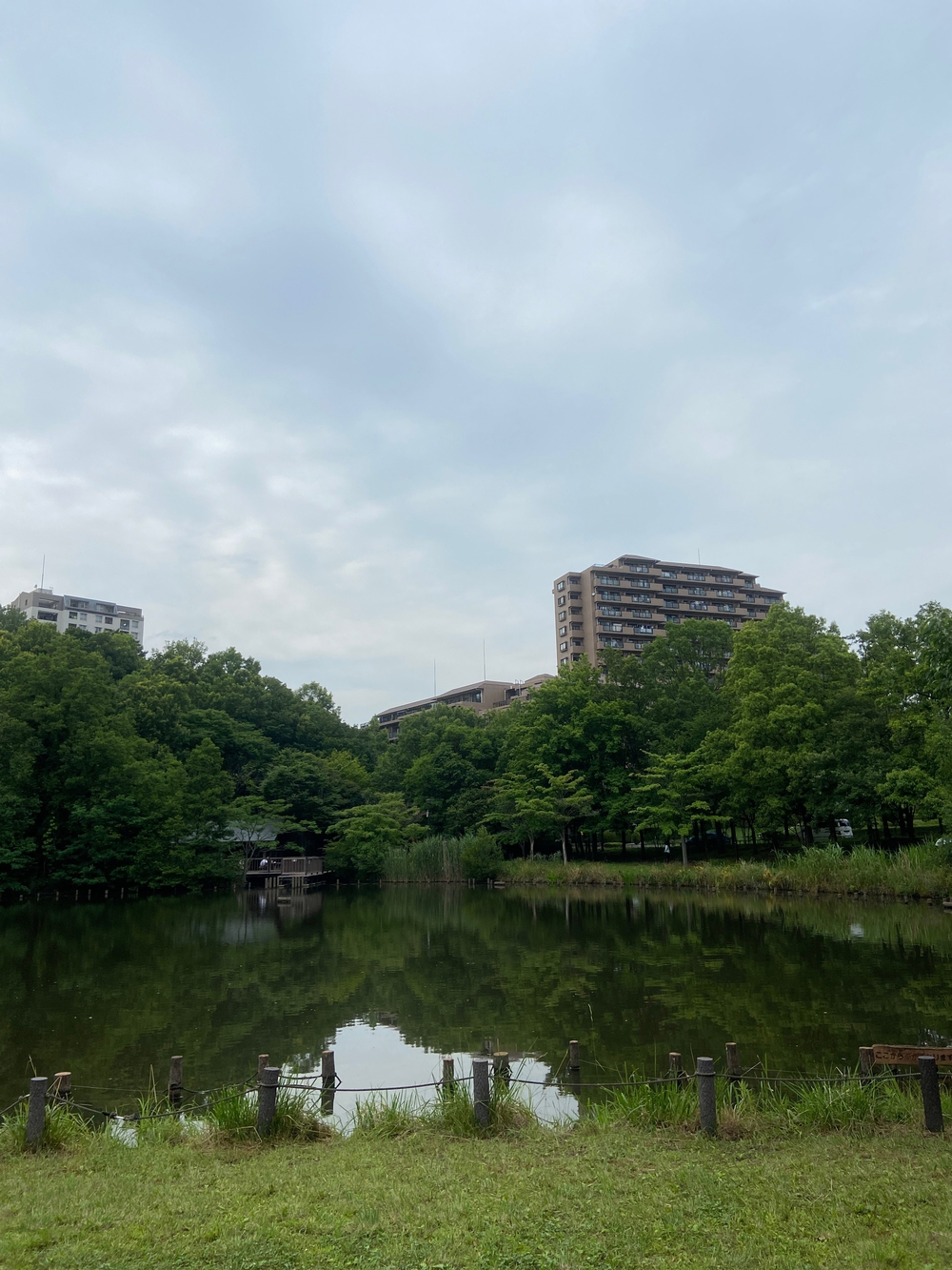 都筑緑道は都市型クロカンフォレストコース🍃❗️の写真30
